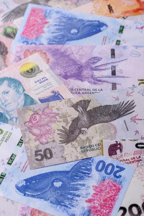 Preview: Argentina paper money, peso in various denominations. Argentine money