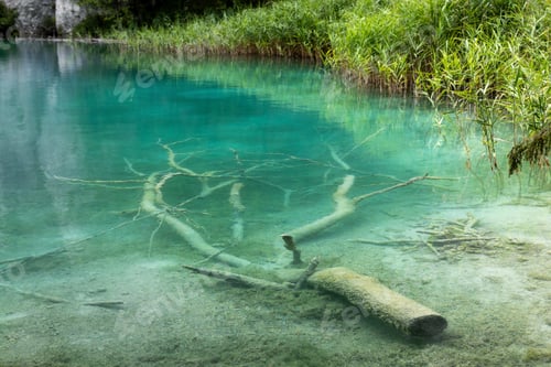 Preview: Clear turquoise water reveals submerged branches and lakebed in Plitvice, surrounded by lush green r