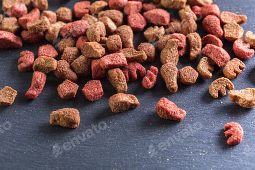 Preview: Dog food pieces scattered on a dark surface with natural lighting