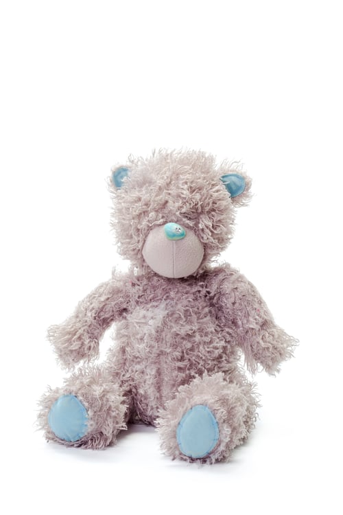 Preview: Soft teddy bear sits on a plain white background in a simple display