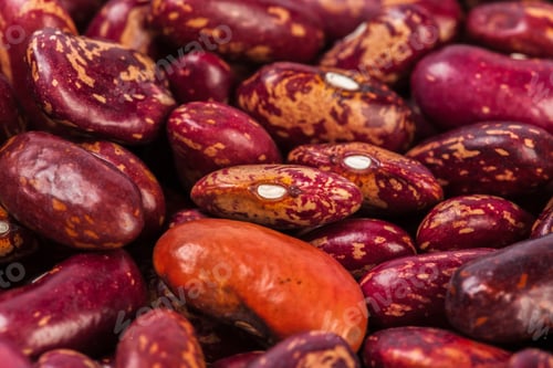 Preview: Close view of colorful dried beans in various shapes and sizes on a surface