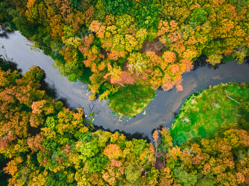Preview: Top down view of river and forest in autumn.