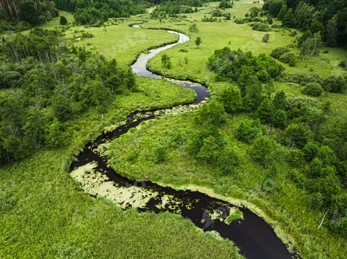 Preview: Small river and swamps in summer, aerial view