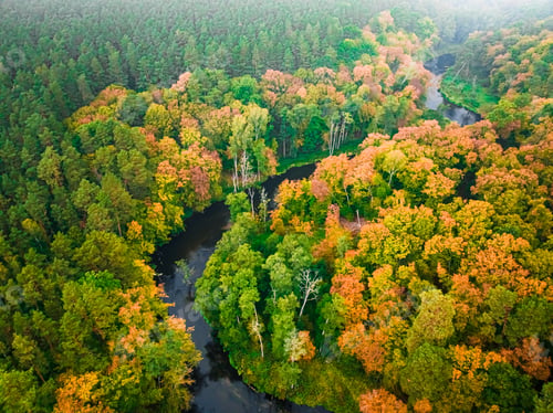 Preview: Amazing river and forest in fall. Aerial view of wildlife.