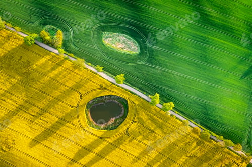 Preview: Yellow rape fields in Poland countryside. Aerial view of agriculture