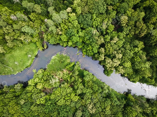 Preview: Sport in summer. Kayaking on river. Aerial view of Poland
