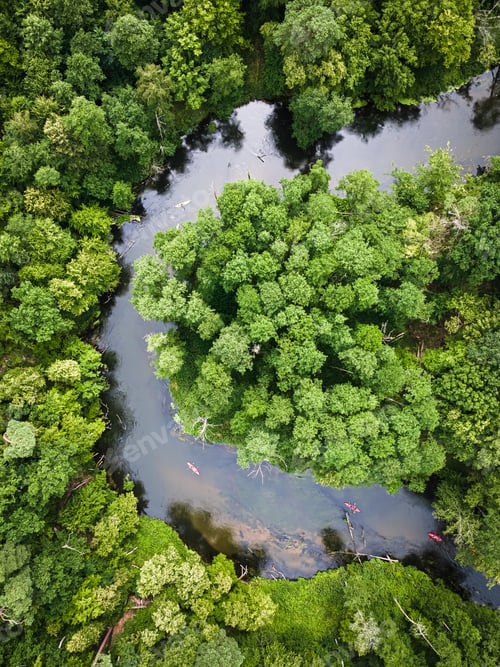 Preview: Top down view of kayaking on river in wildlife, Poland