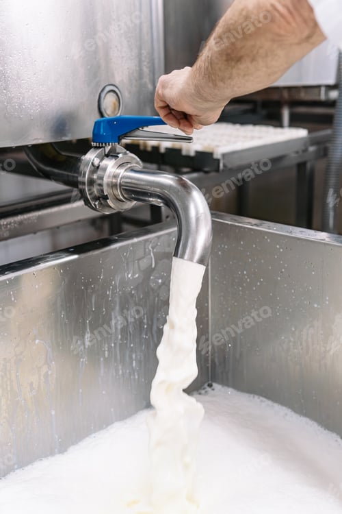 Preview: Worker pouring fresh milk into stainless steel vat