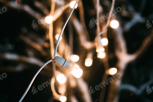 Preview: Happy couple of lovers spend romantic evening together
