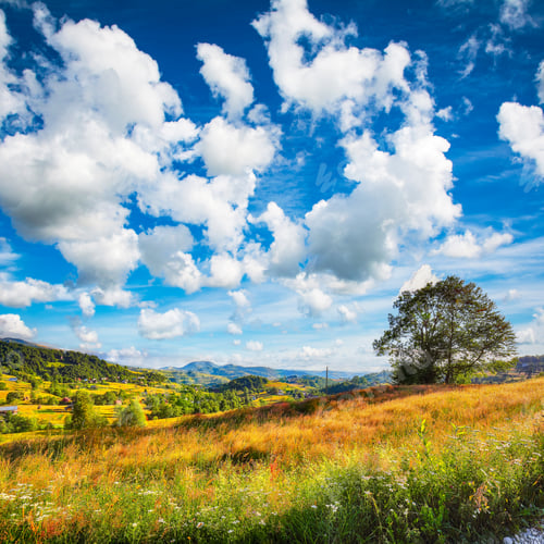 Preview: Captivating countryside landscape with forested hills and haystacks on a grassy rural field in mount
