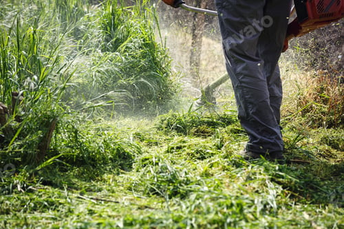 Preview: Mowing Trimmer - Men Worker Cutting Grass