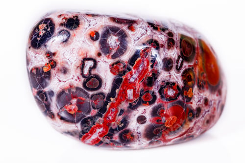 Preview: Macro mineral stone Jasper leopard on white background