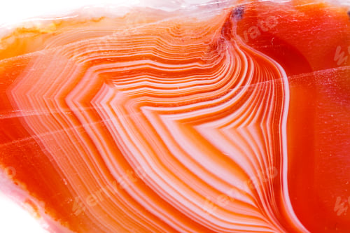 Preview: Macro mineral orange agate in crystals on white background