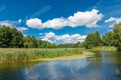 Preview: Beautiful Landscape Lake Against the Blue Sky