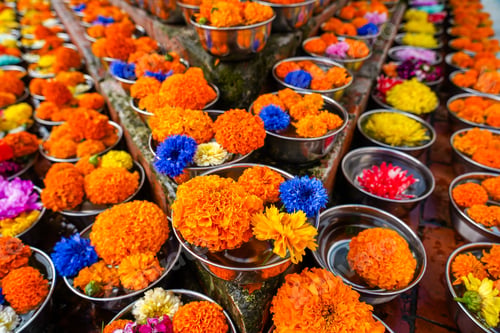 Preview: Closeup view of decoration flower on pot at Boudhanath Stupa, Nepal