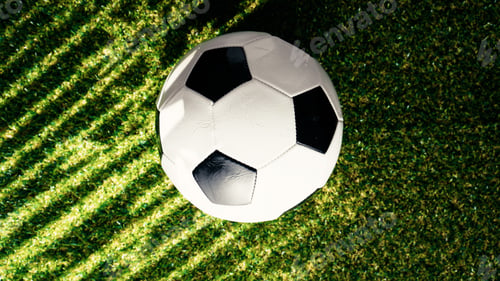 Preview: Soccer Ball on Green Grass