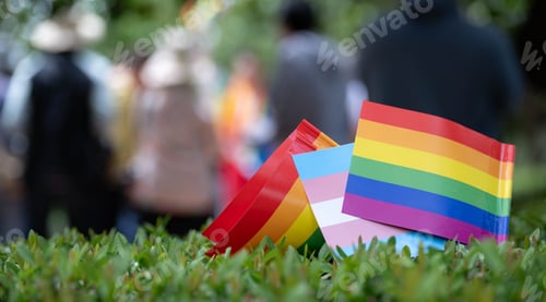 Preview: Rainbow pride and transgender flags displayed on green grass