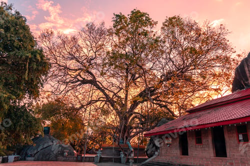 Preview: Yatagala Raja Maha Viharaya beautiful evening sunset photography