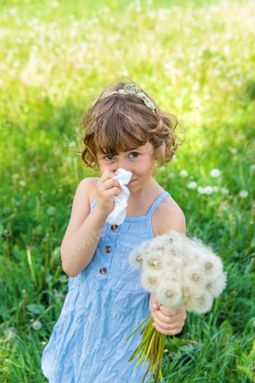 Preview: Young Girl Wiping Nose Holding Dandelions in Sunny Green Field