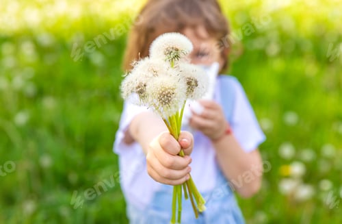 Preview: Child Holding a Bouquet of Fluffy Dandelions in a Summer Field
