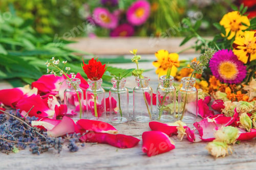 Preview: Bottled herbal and flower tinctures. Selective focus.