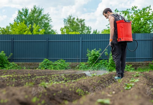 Preview: Spray the garden against pests and weeds. Selective focus.