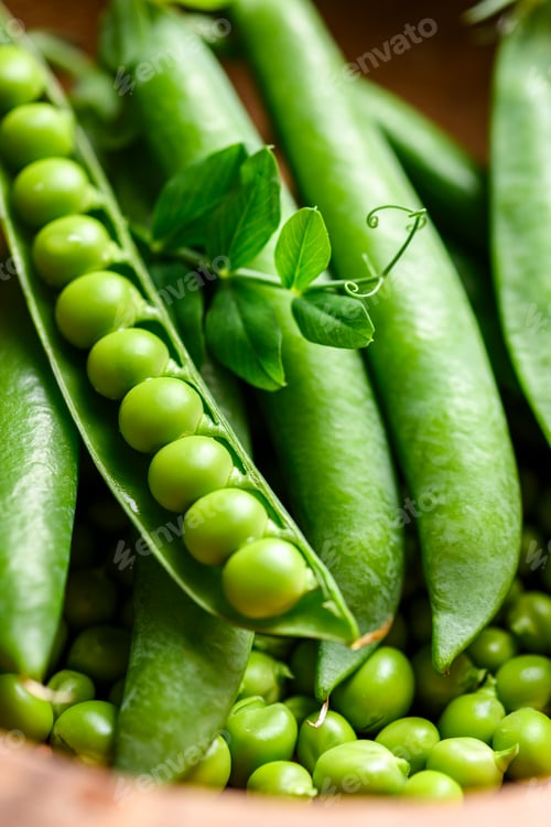 Preview: Fresh green peas in pods arranged in a wooden bowl