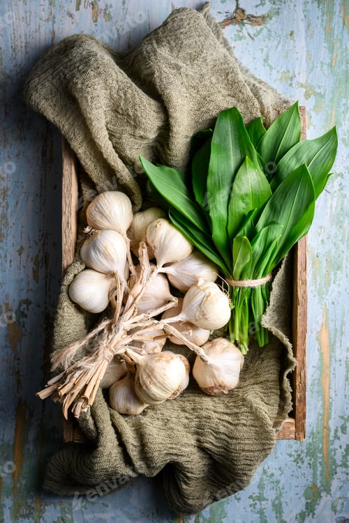 Preview: Fresh wild garlic leaves and garlic bulbs placed in wooden crate