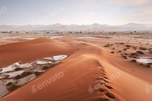 Preview: Red sand dunes with footprints in Namib desert