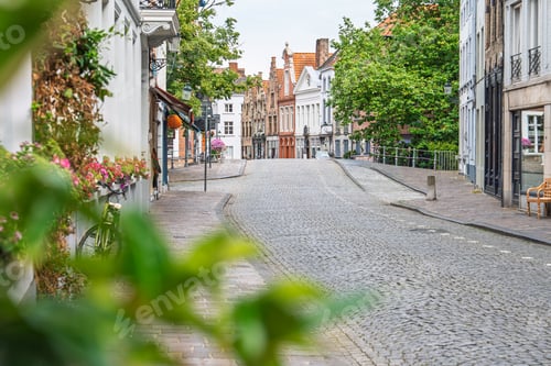 Preview: Cobblestone street in Bruges, Belgium with historic architecture and greenery in foreground