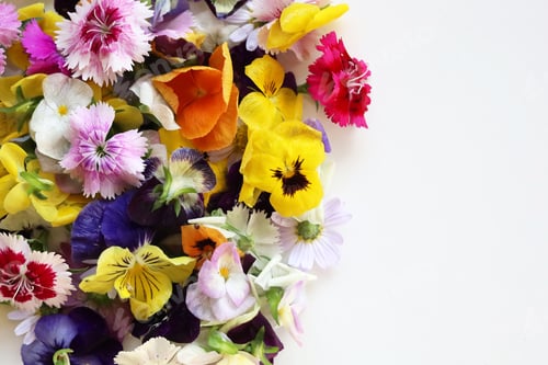 Preview: Colorful edible flowers for decorating your beautiful food plates.
