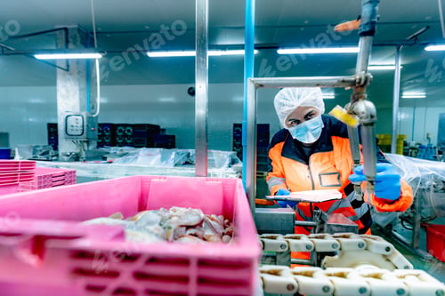 Preview: Factory workers in fish and seafood factory are moving food and lifting things into the fish choppin