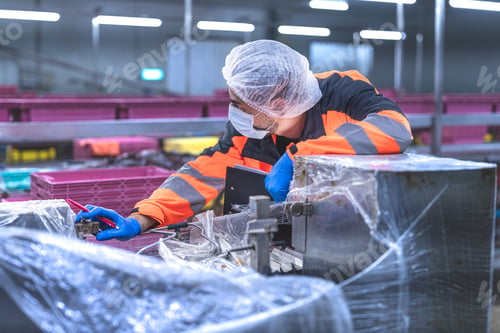 Preview: Food and manufacturing researchers oversee seafood production lines in tightly controlled factories