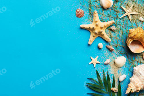 Preview: Summer time concept Flat lay composition with beautiful starfish and sea shells on colored table, to