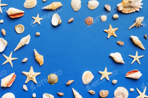 Preview: Summer time concept Flat lay composition with beautiful starfish and sea shells on colored table, to