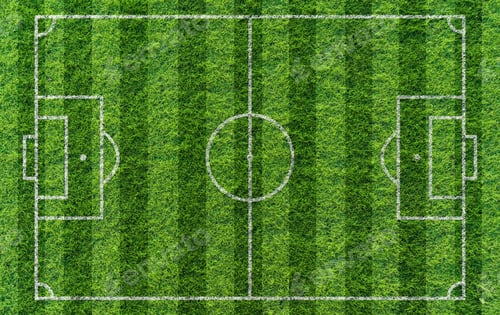 Preview: Top view soccer field on green grass texture background with white marking lines