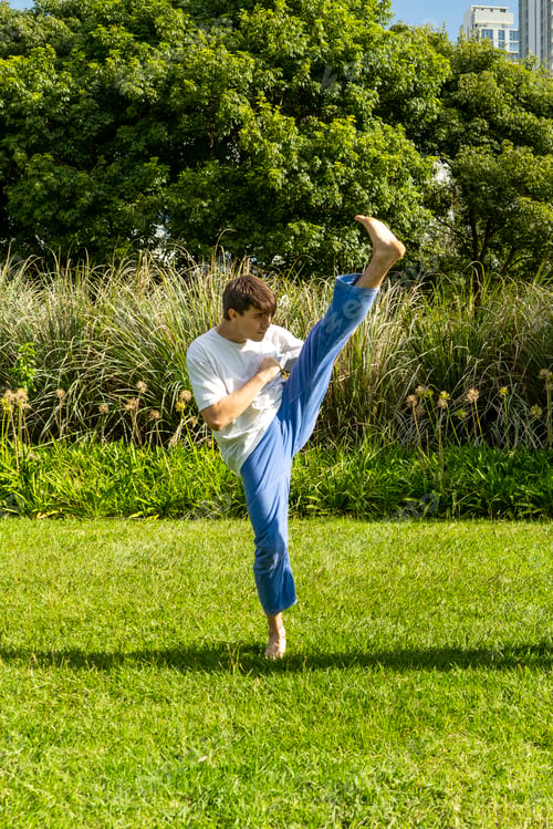 Preview: Young man performing a Taekwondo front kick outdoors