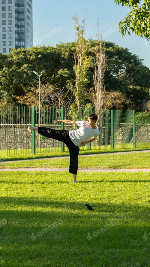 Preview: Martial artist performing a high kick outdoors