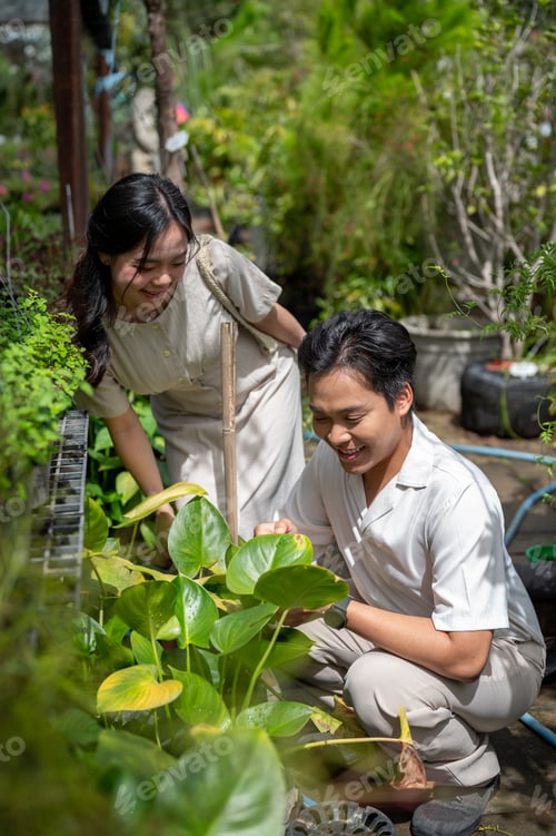 Preview: Asian man and woman couple admiring plants together under sunlight in the greenhouse nursery garden.