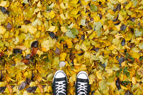 Preview: Autumn season in hipster style shoes