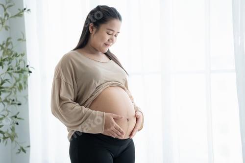 Preview: Pregnant asian woman holds hands on belly touching her baby caring about her health Beautiful happy