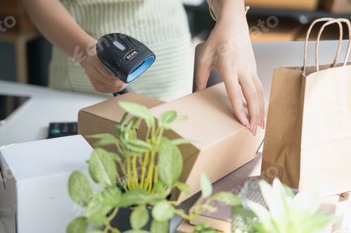 Preview: Asian Women Entrepreneurs in SME Using Laptops to Process Online Orders and Manage Parcel Deliveries