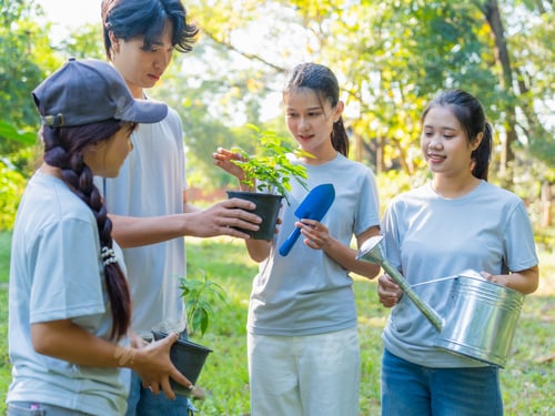 Preview: Group of volunteers planting trees together in outdoor environmental activity