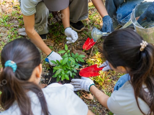 Preview: Asian volunteers planting trees for environmental conservation sustainable eco project to Save World