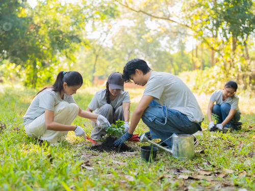 Preview: Asian volunteers planting trees for environmental conservation sustainable eco project to Save World