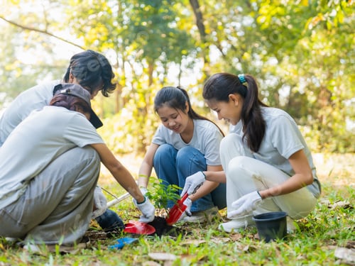 Preview: Asian volunteers planting trees for environmental conservation sustainable eco project to Save World