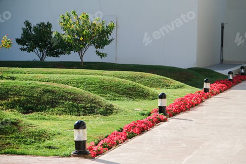 Preview: Natural green lawn grass with the waves forming hills, landscape design