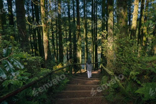 Preview: Woman walking down rustic forest stairs in the azores