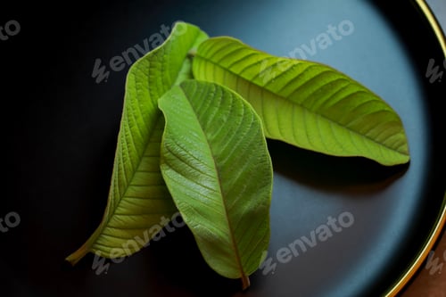 Preview: Green leaves