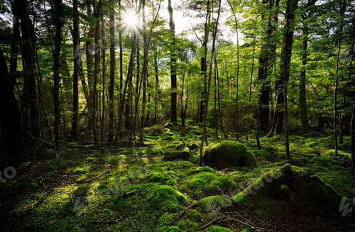 Preview: New Zealand’s Landscapes That Steal Your Breath